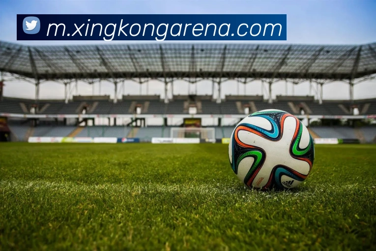 星空体育发展历程