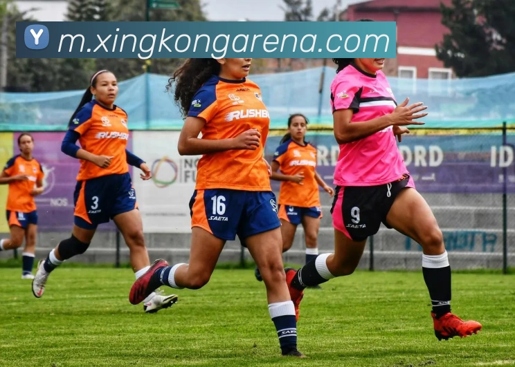 伊万谈费南多缺席东亚杯质疑塞鸟为何不给他更多机会